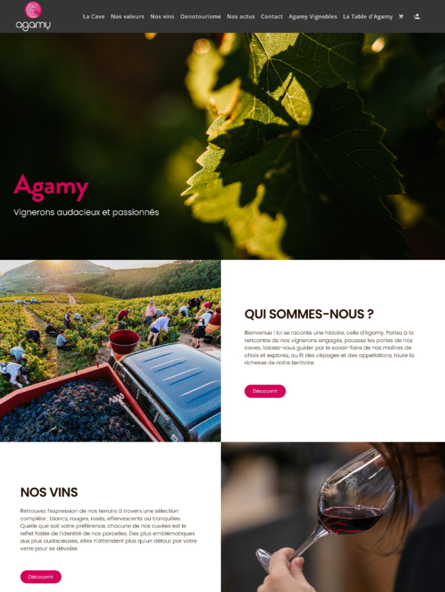 Création site web Agamy vignerons Beaujolais et Forez